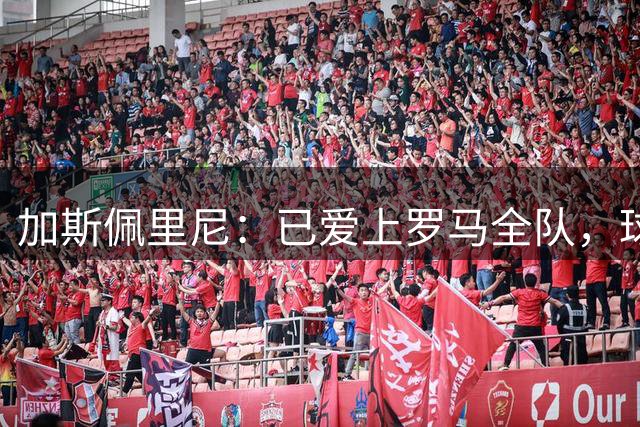 加斯佩里尼：已爱上罗马全队，球队更衣室氛围非常健康