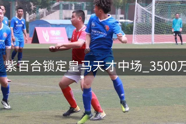 紫百合锁定皇马天才中场 3500万欧买断条款成谈判焦点